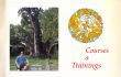 Courses and Trainings